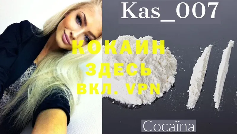 дарнет шоп  Высоцк  COCAIN 99% 